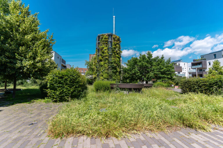 photographie-tour-du-parc-adelshoffen